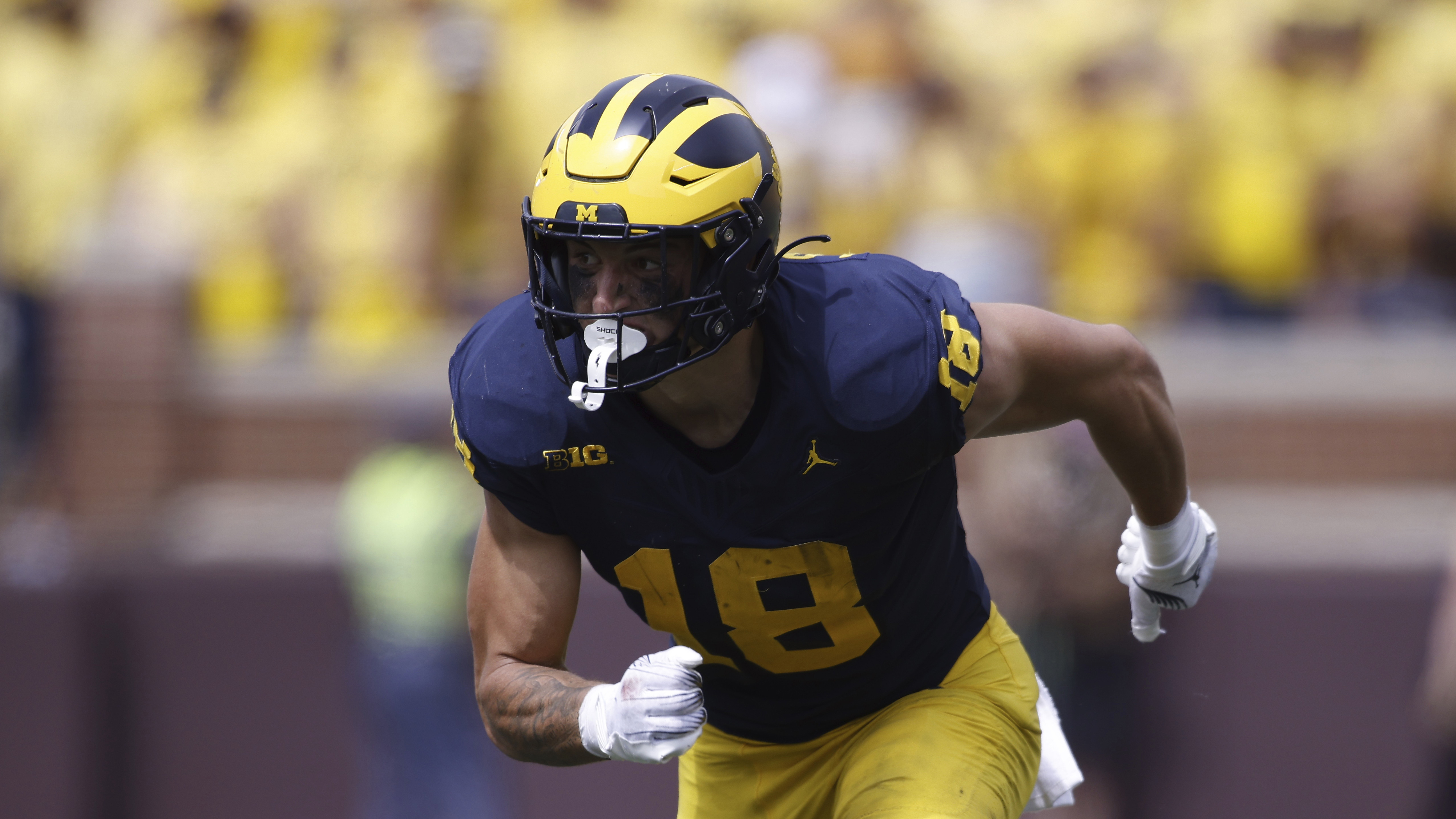 Michigan Football