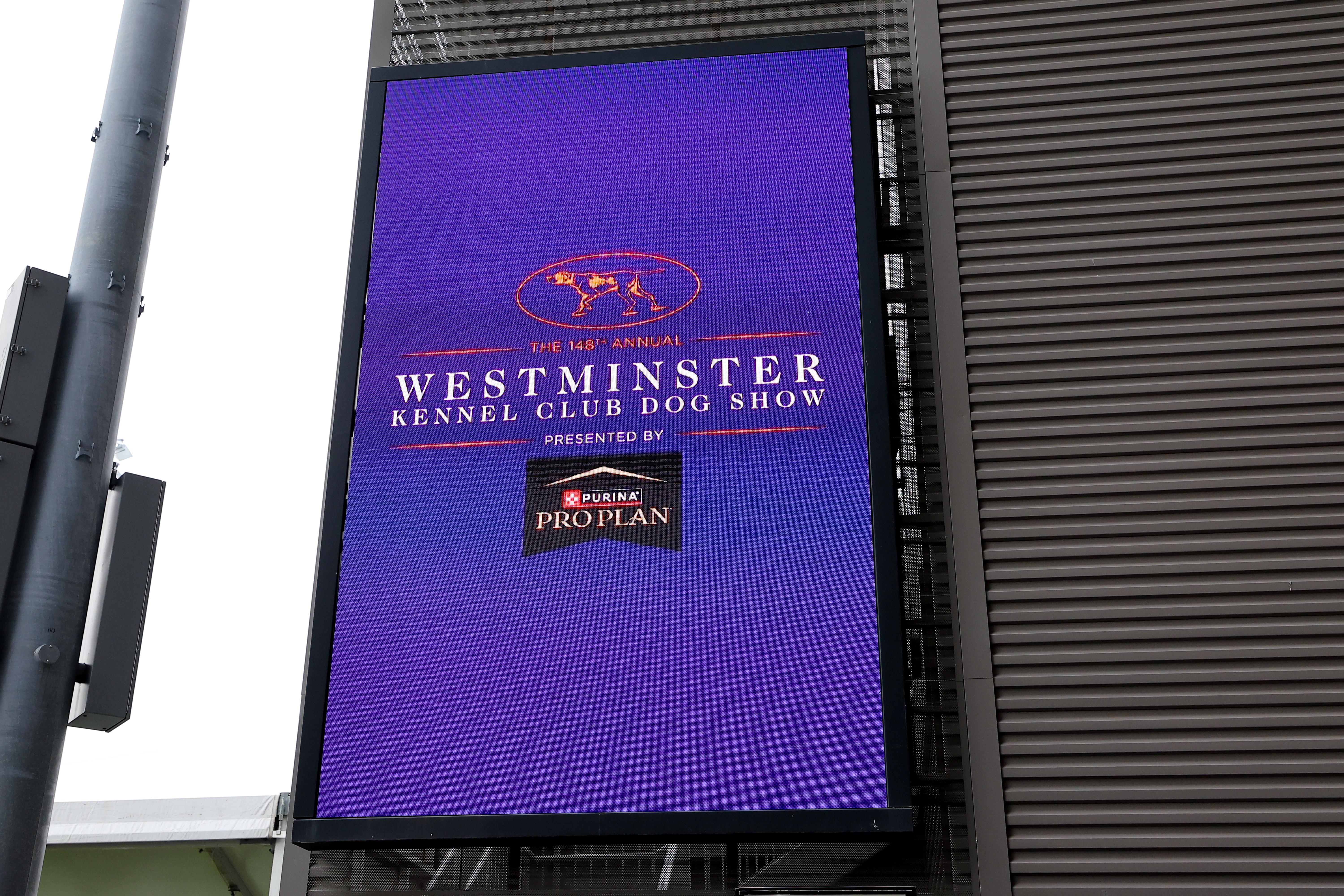 OTHER: MAY 14 Westminster Dog Show