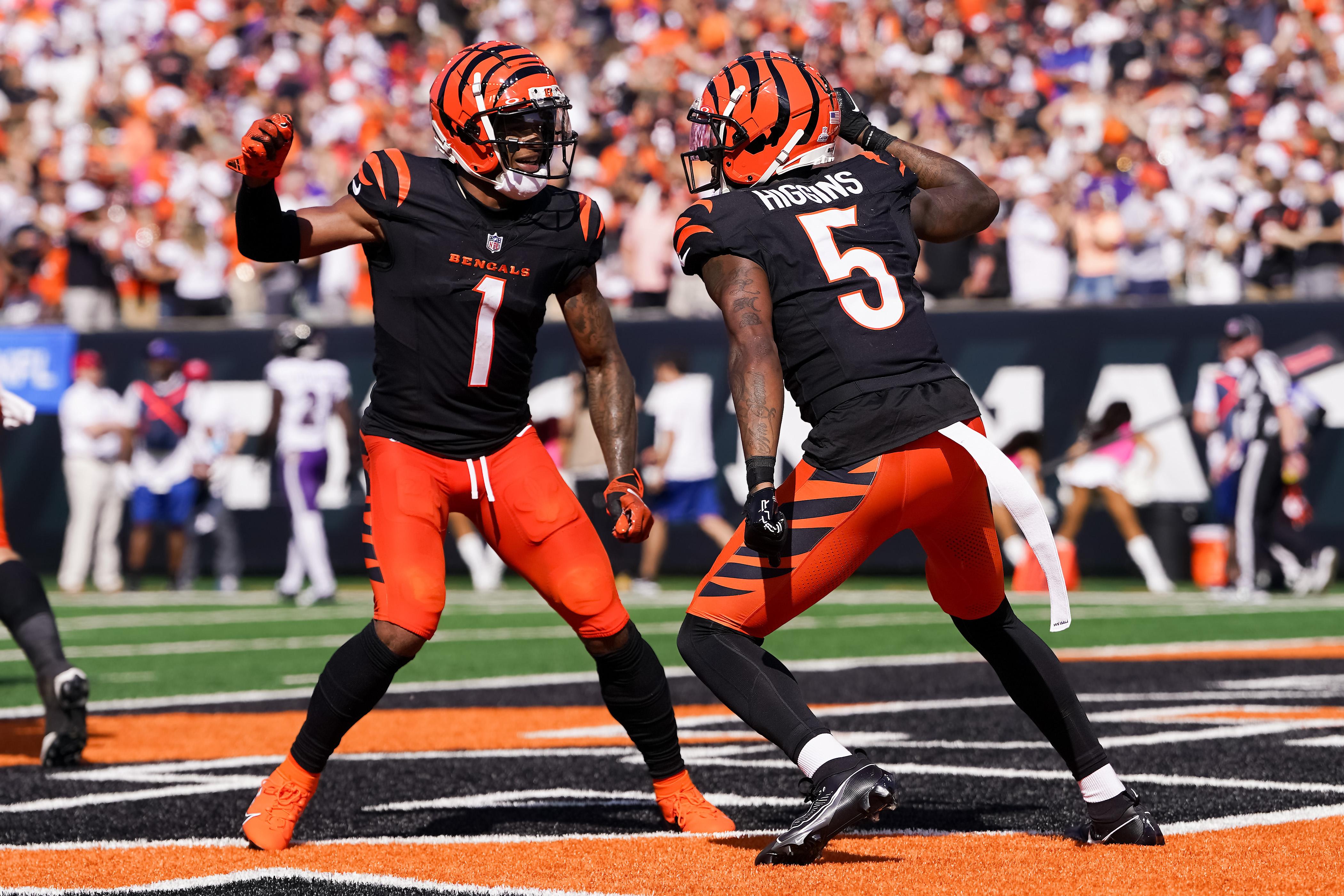 Baltimore Ravens v Cincinnati Bengals