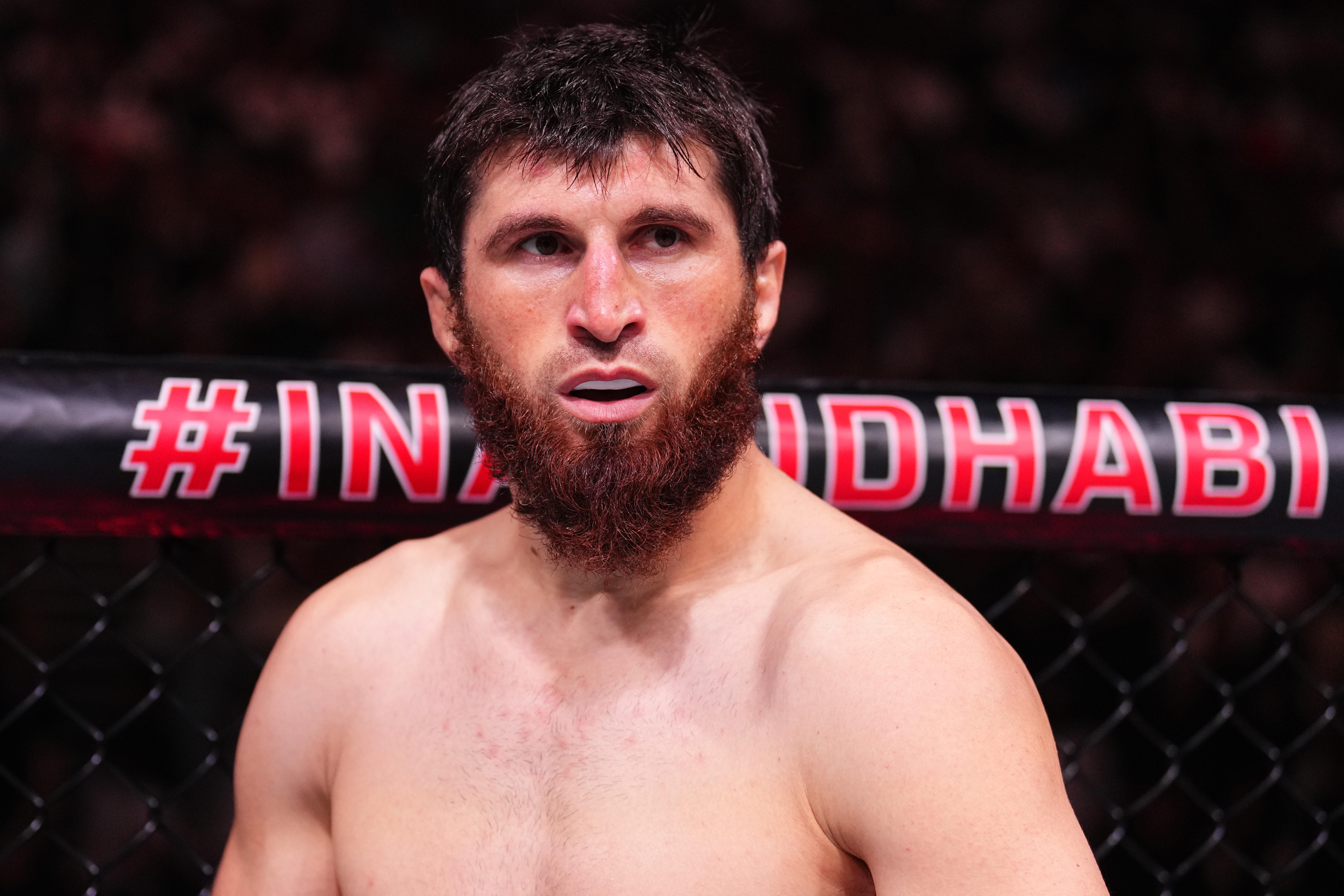 UFC 308: Ankalaev v Rakic