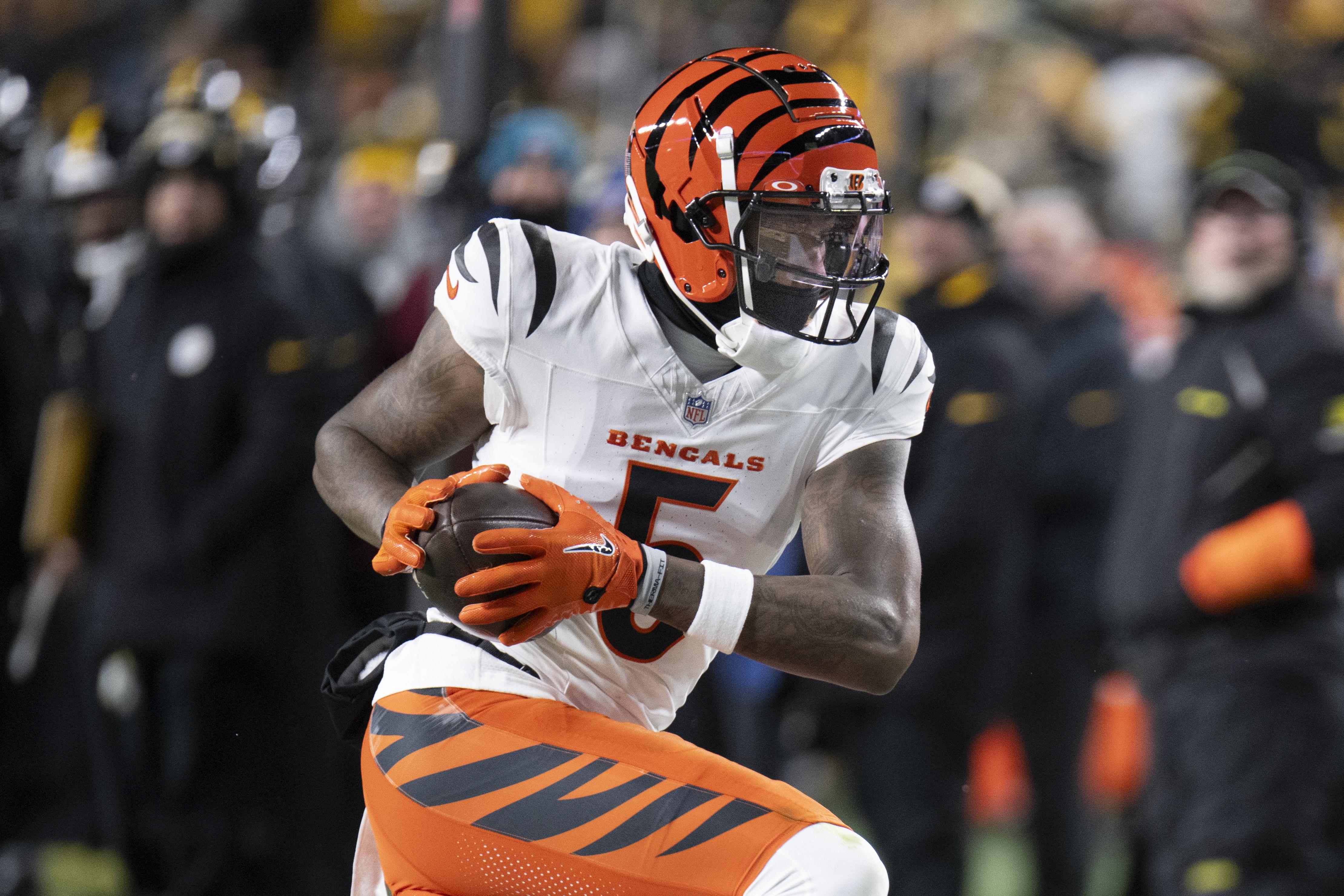 NFL: JAN 04 Bengals at Steelers
