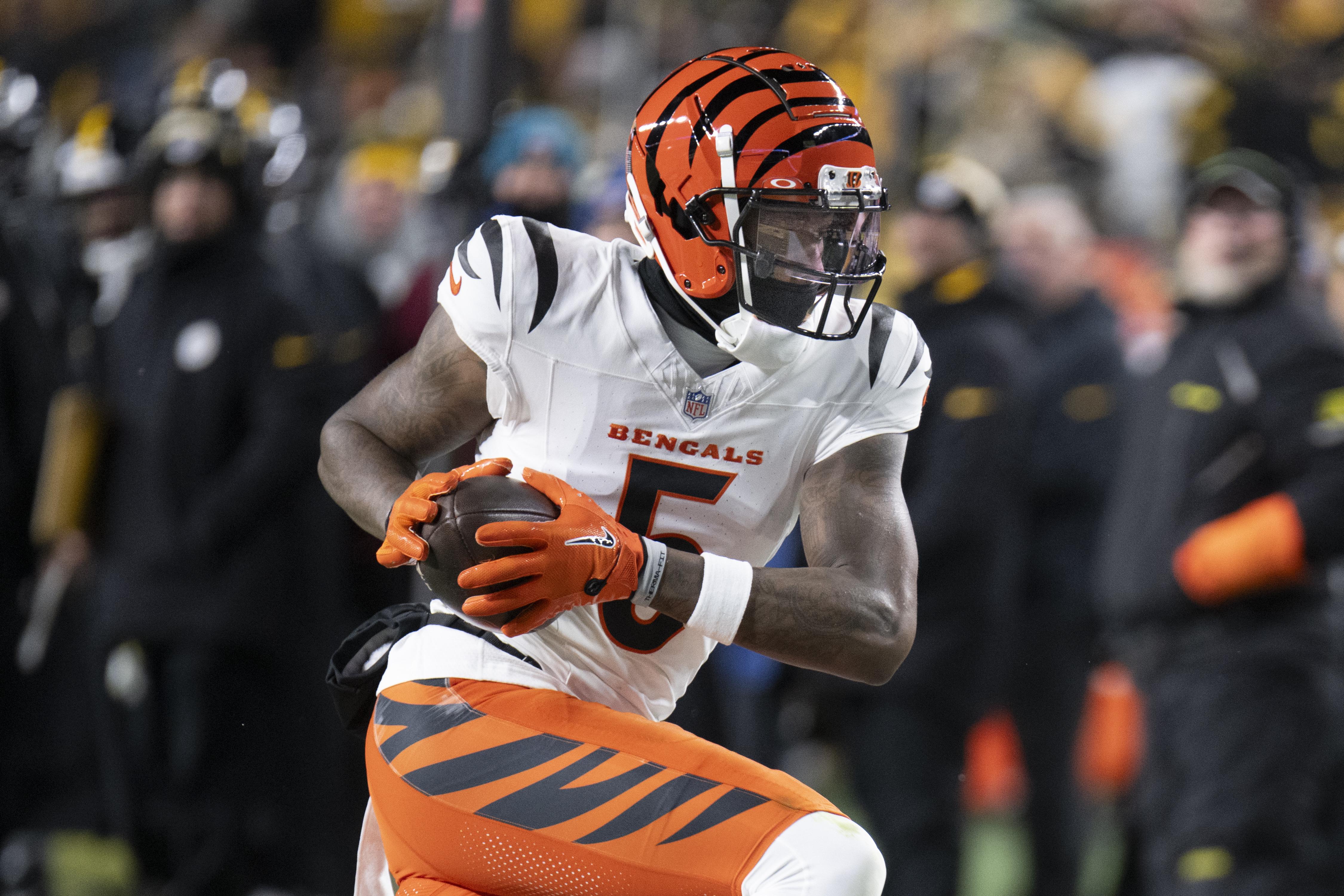 NFL: JAN 04 Bengals at Steelers