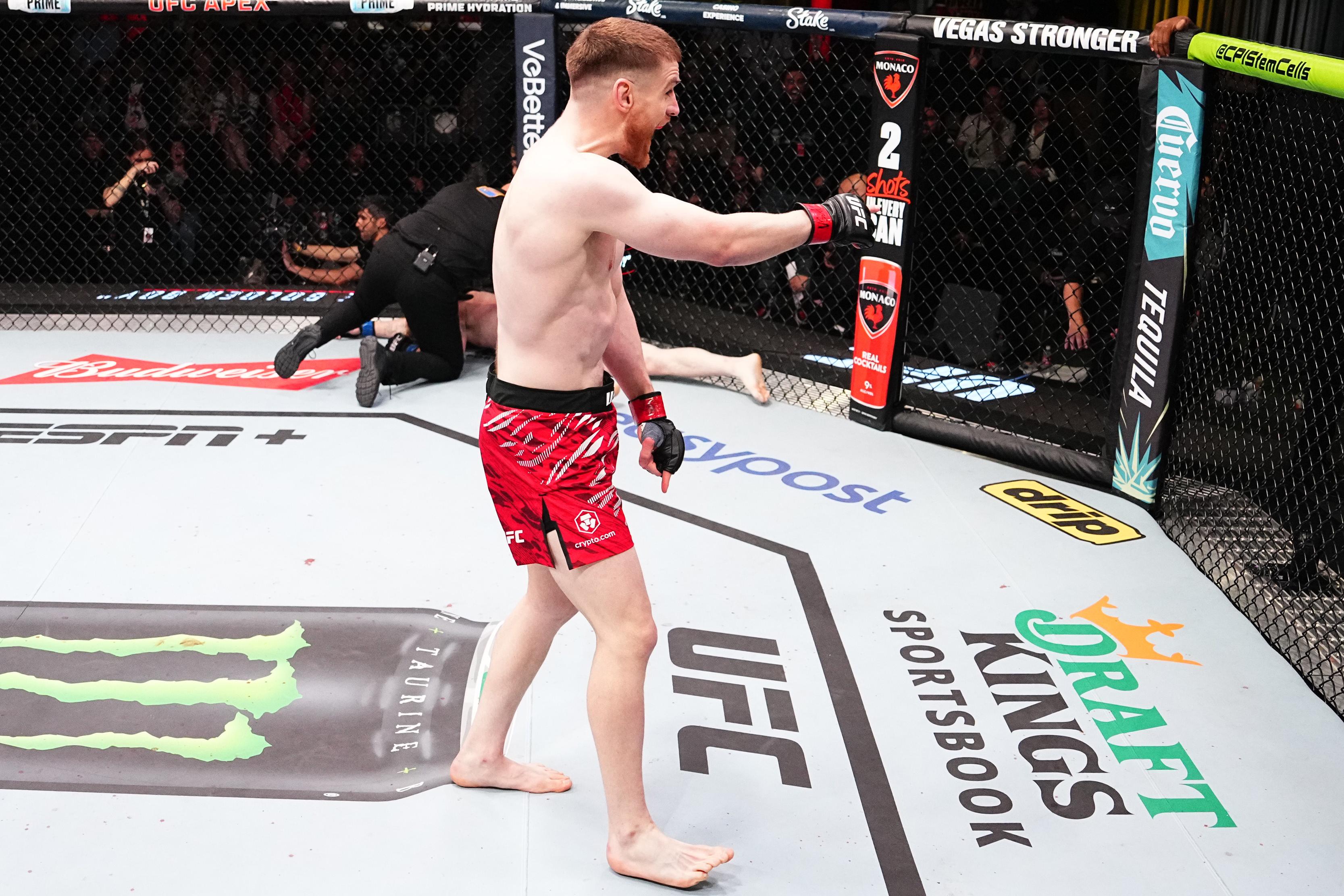 UFC Fight Night: Shahbazyan v Budka