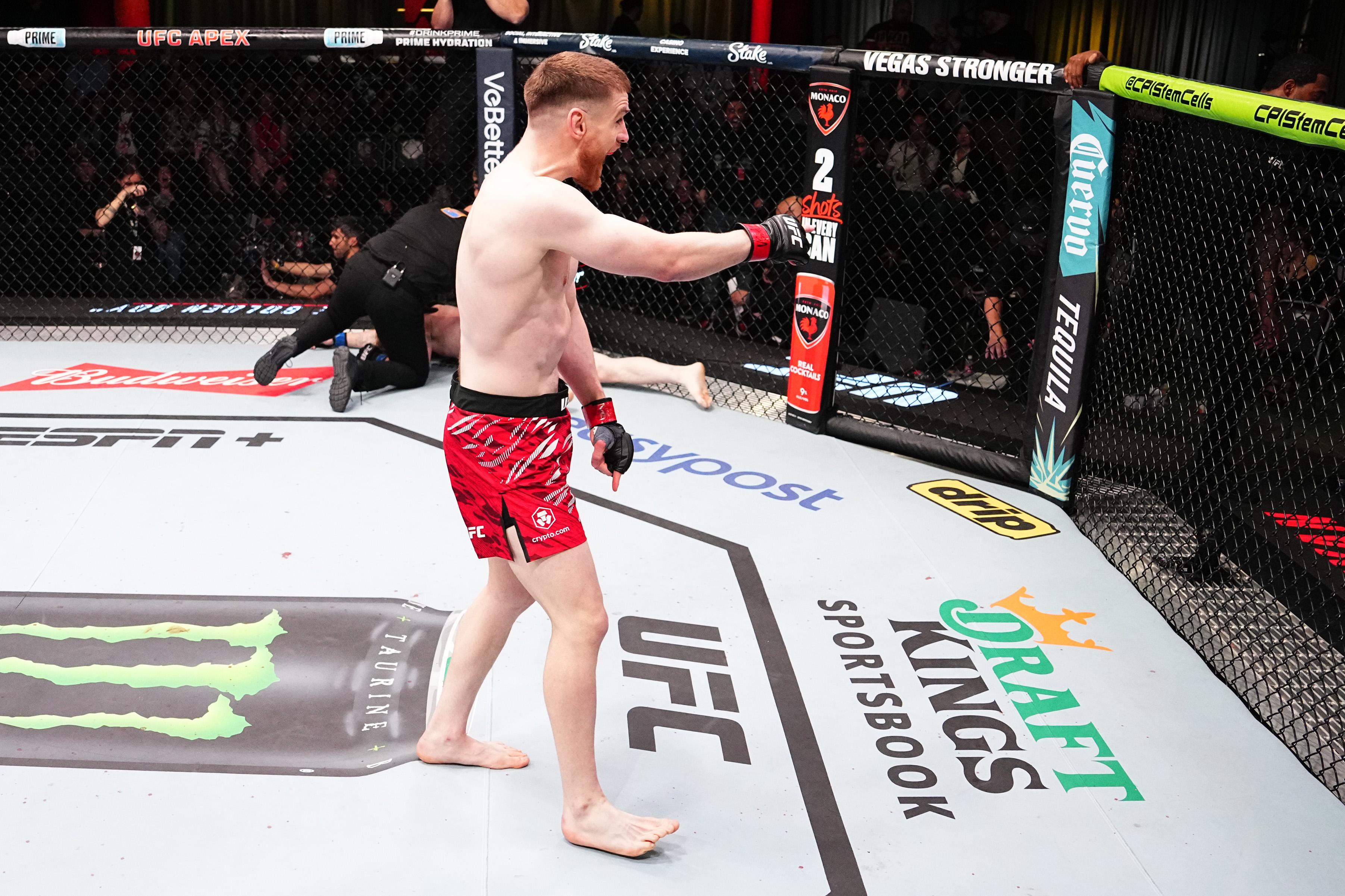 UFC Fight Night: Shahbazyan v Budka