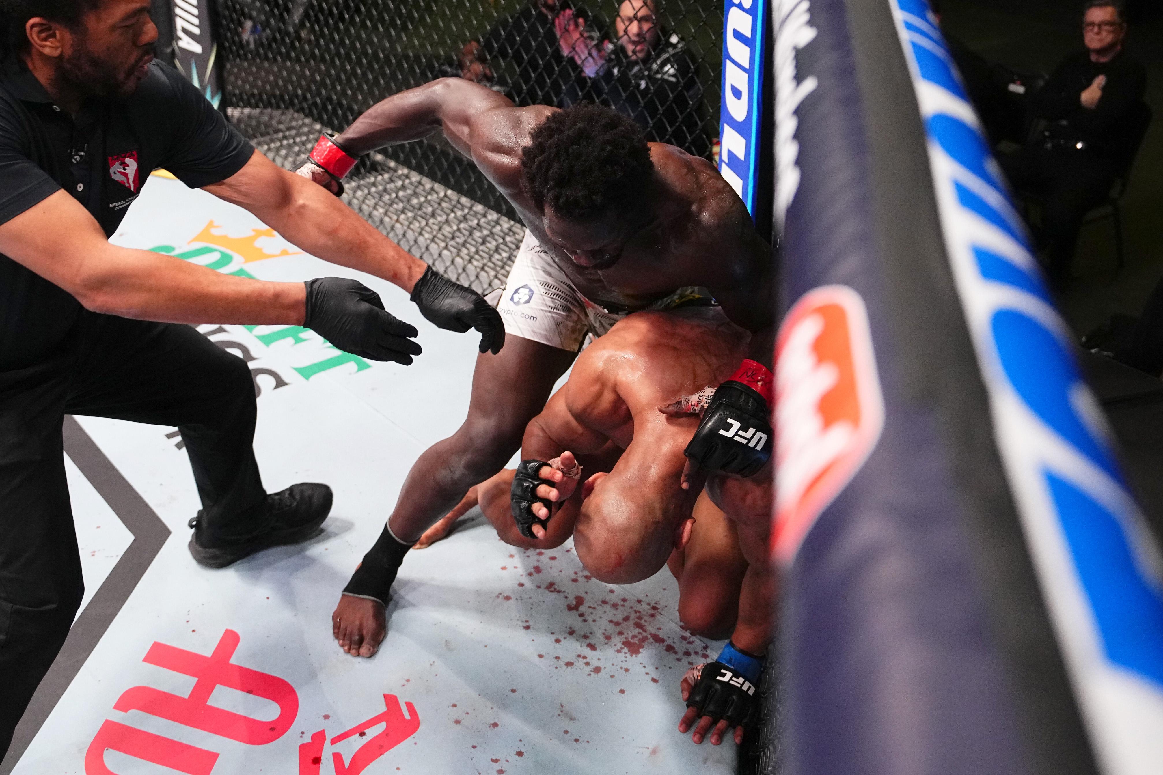 UFC Fight Night: Cannonier v Rodrigues