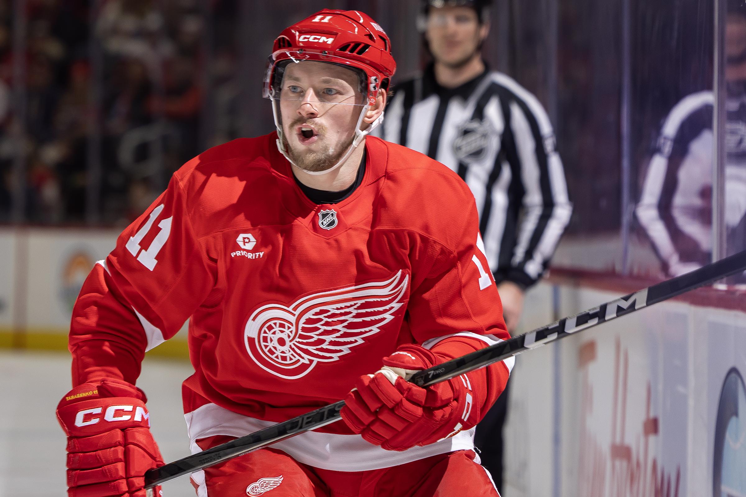 Minnesota Wild v Detroit Red Wings