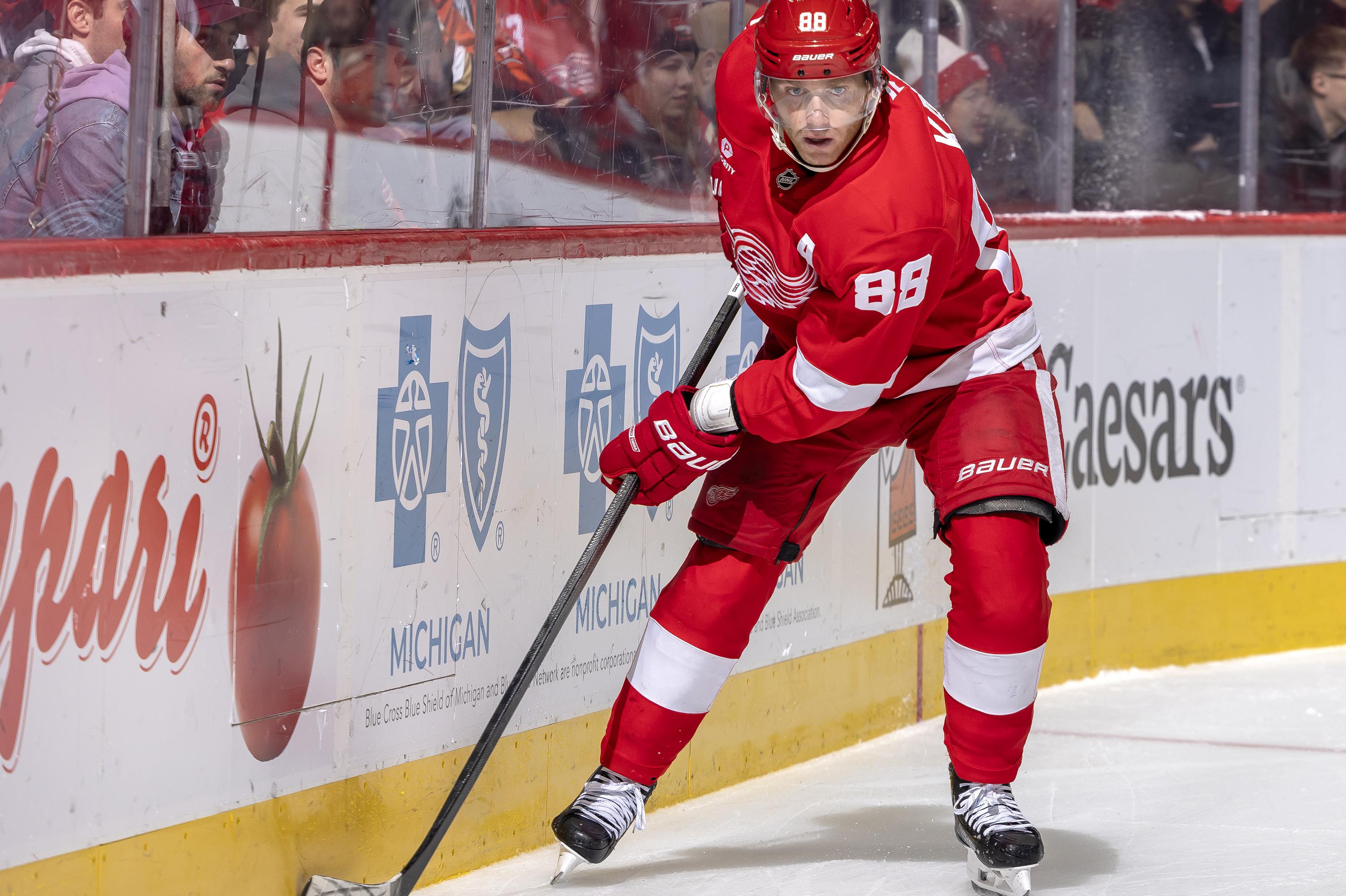 Anaheim Ducks v Detroit Red Wings