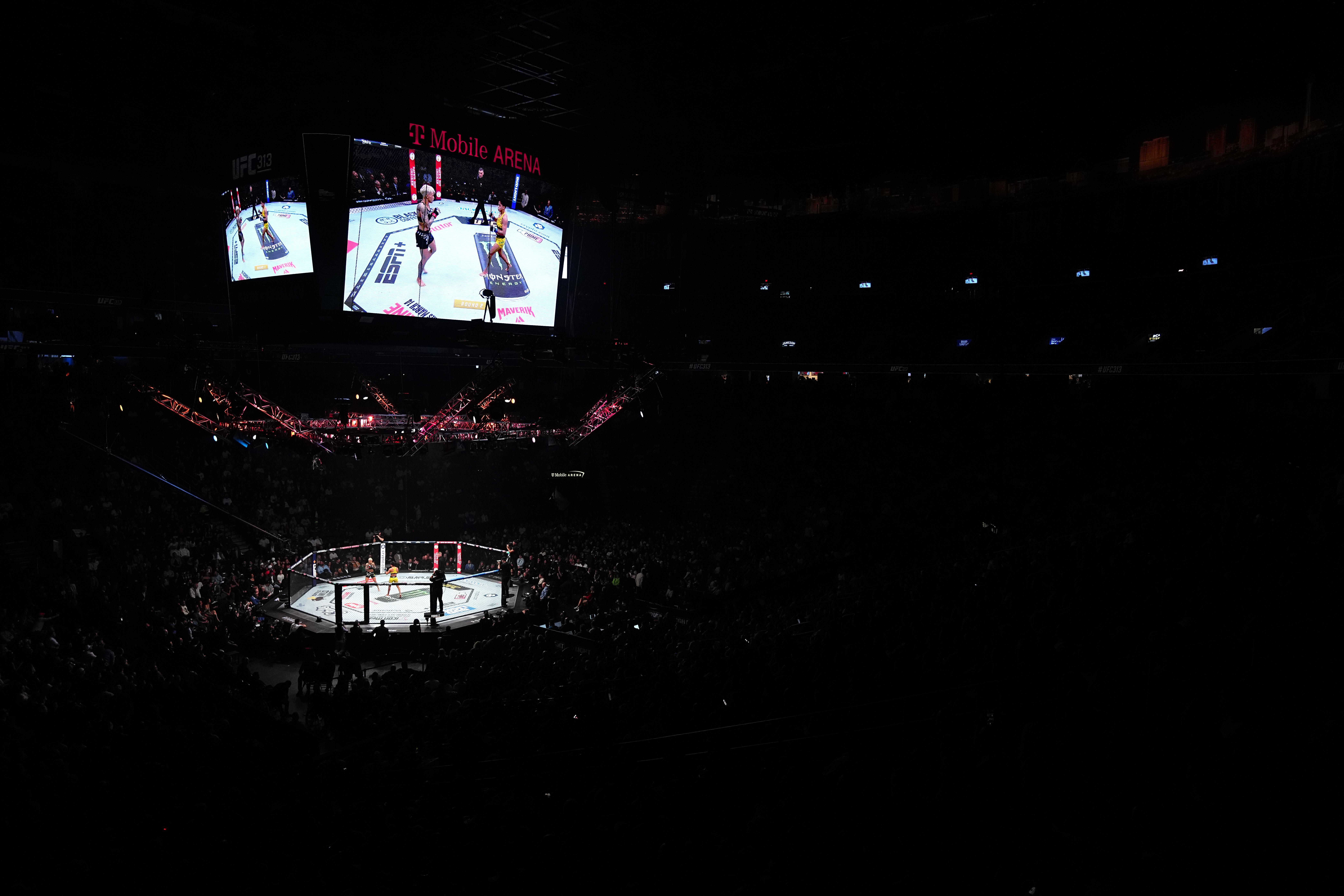 UFC 313: Lemos v Lucindo