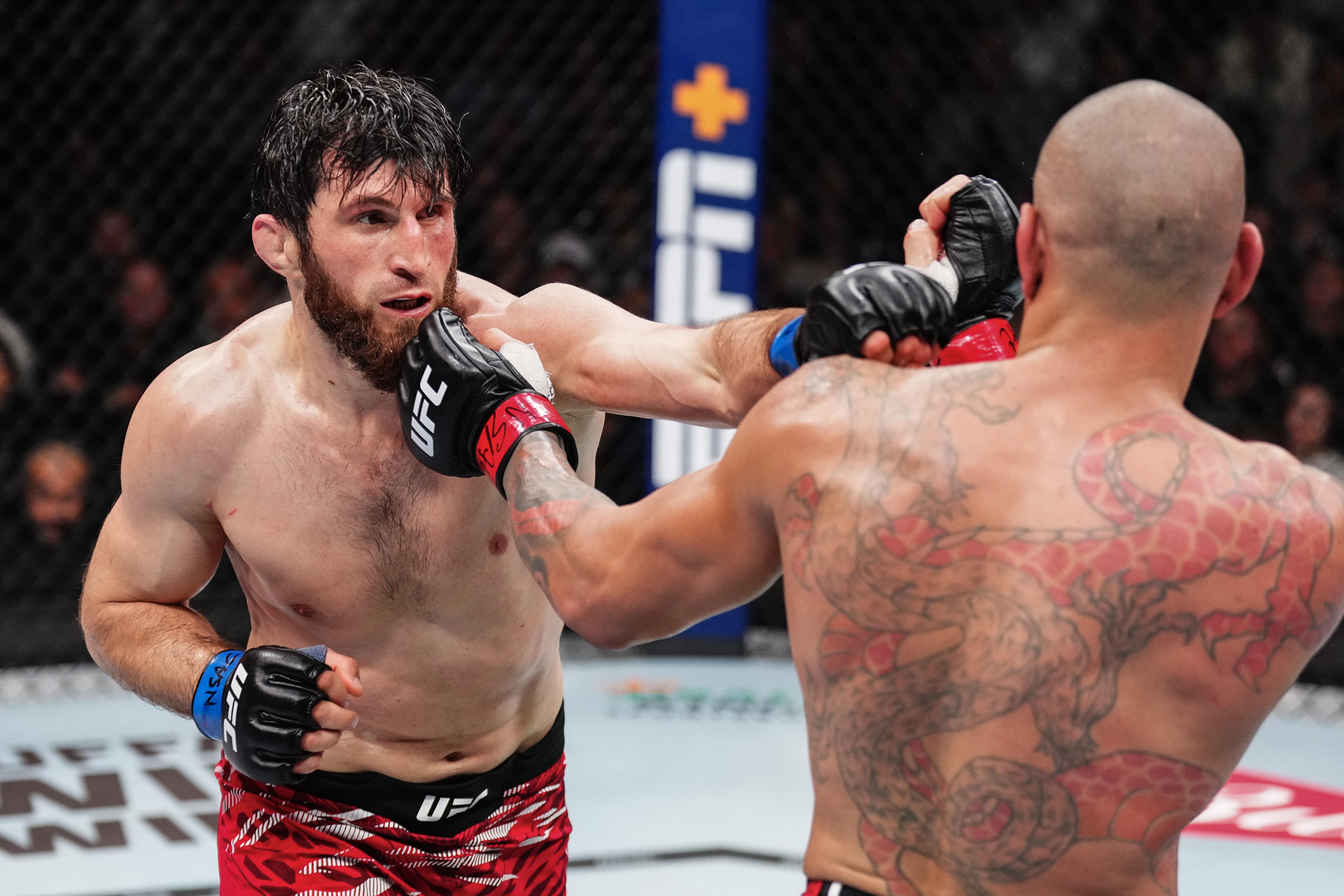 UFC 313: Pereira v Ankalaev
