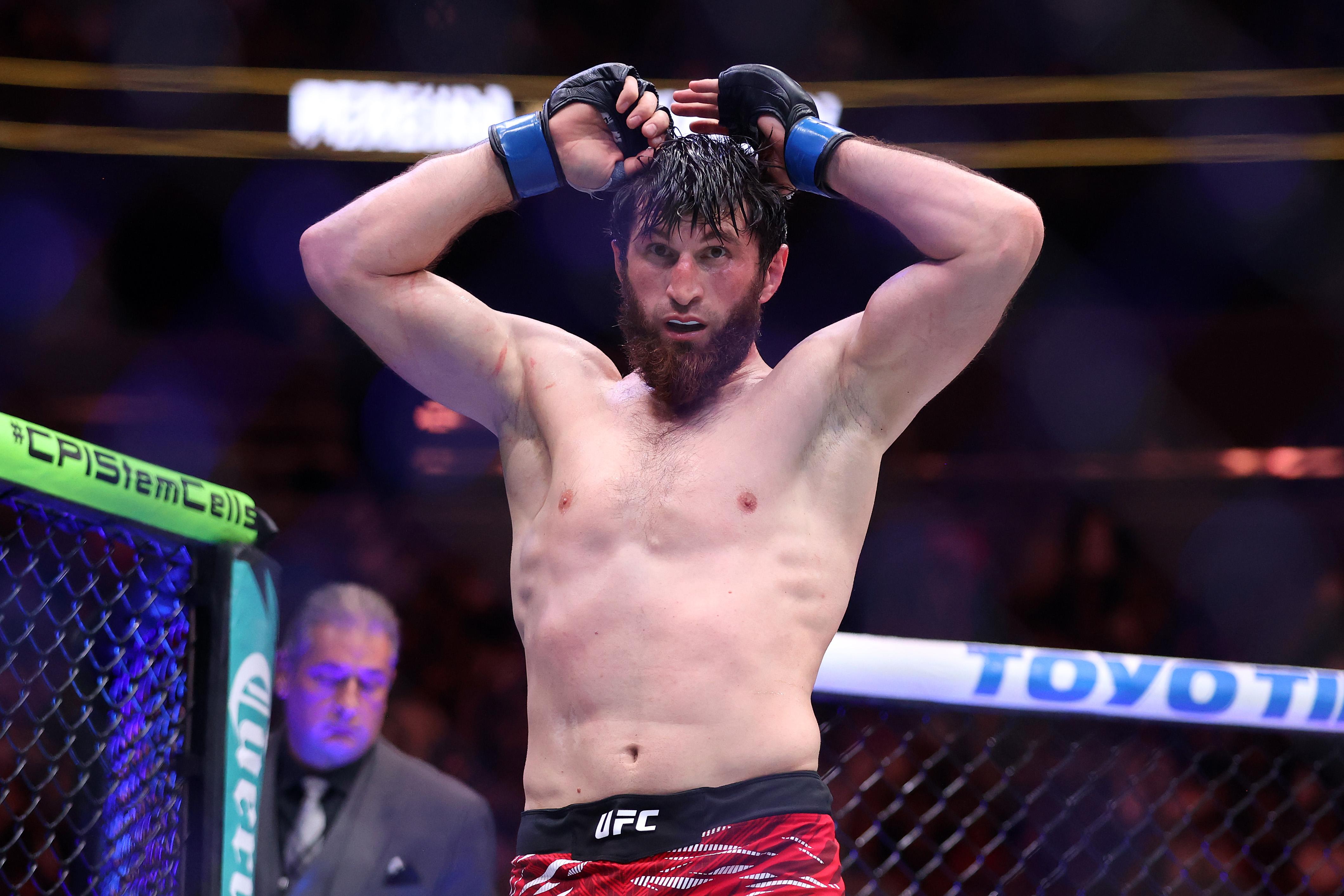 UFC 313: Pereira v Ankalaev