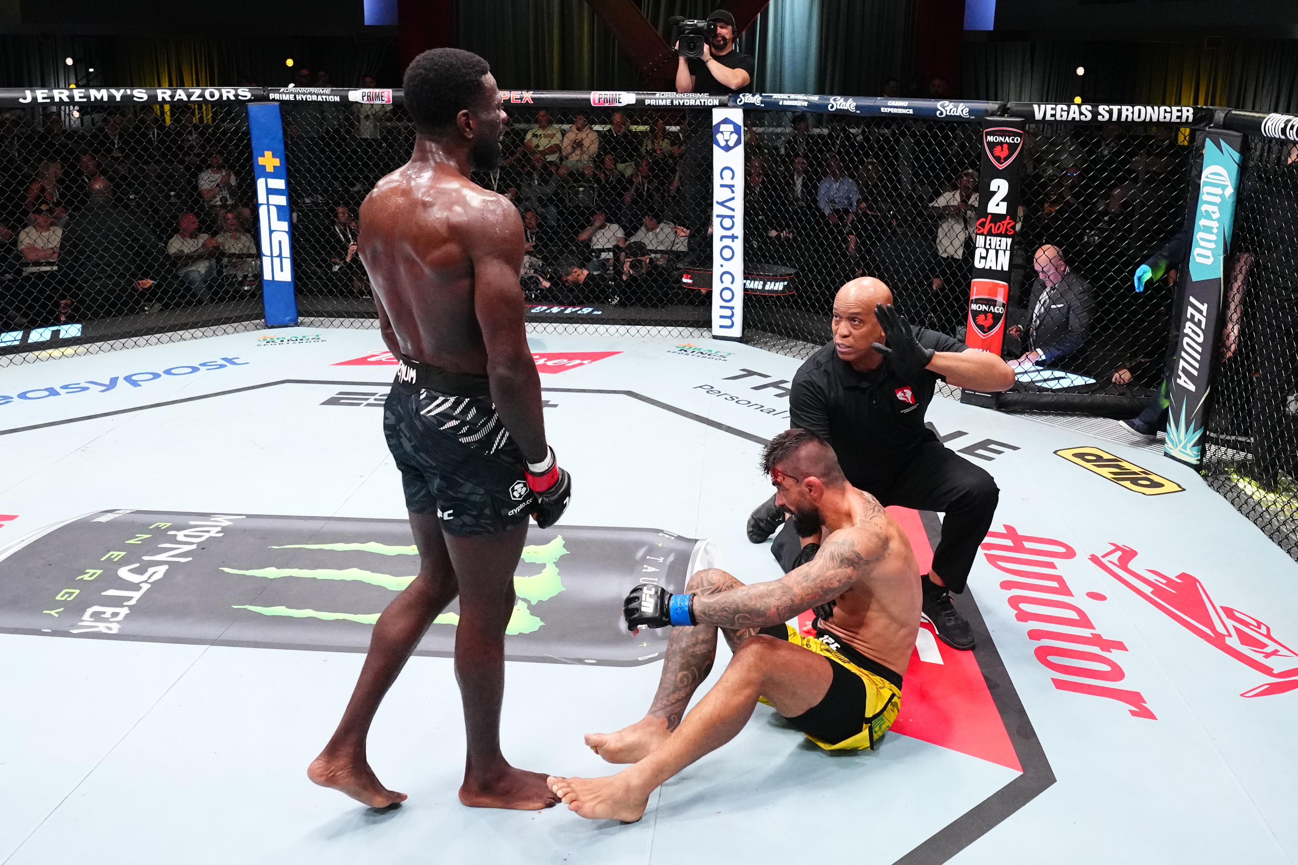 UFC Fight Night: Njokuani v Zaleski dos Santos