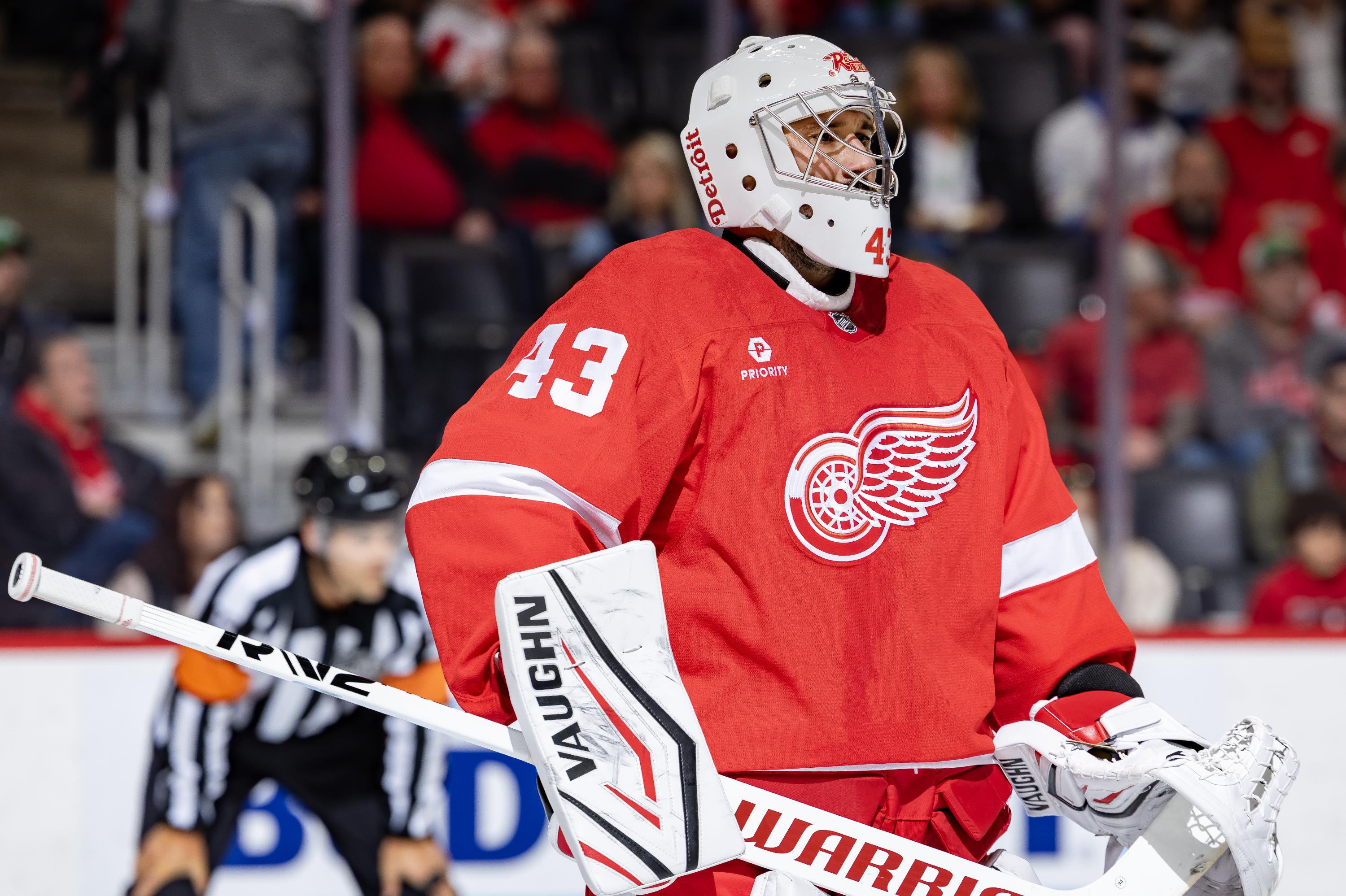 Vegas Golden Knights v Detroit Red Wings