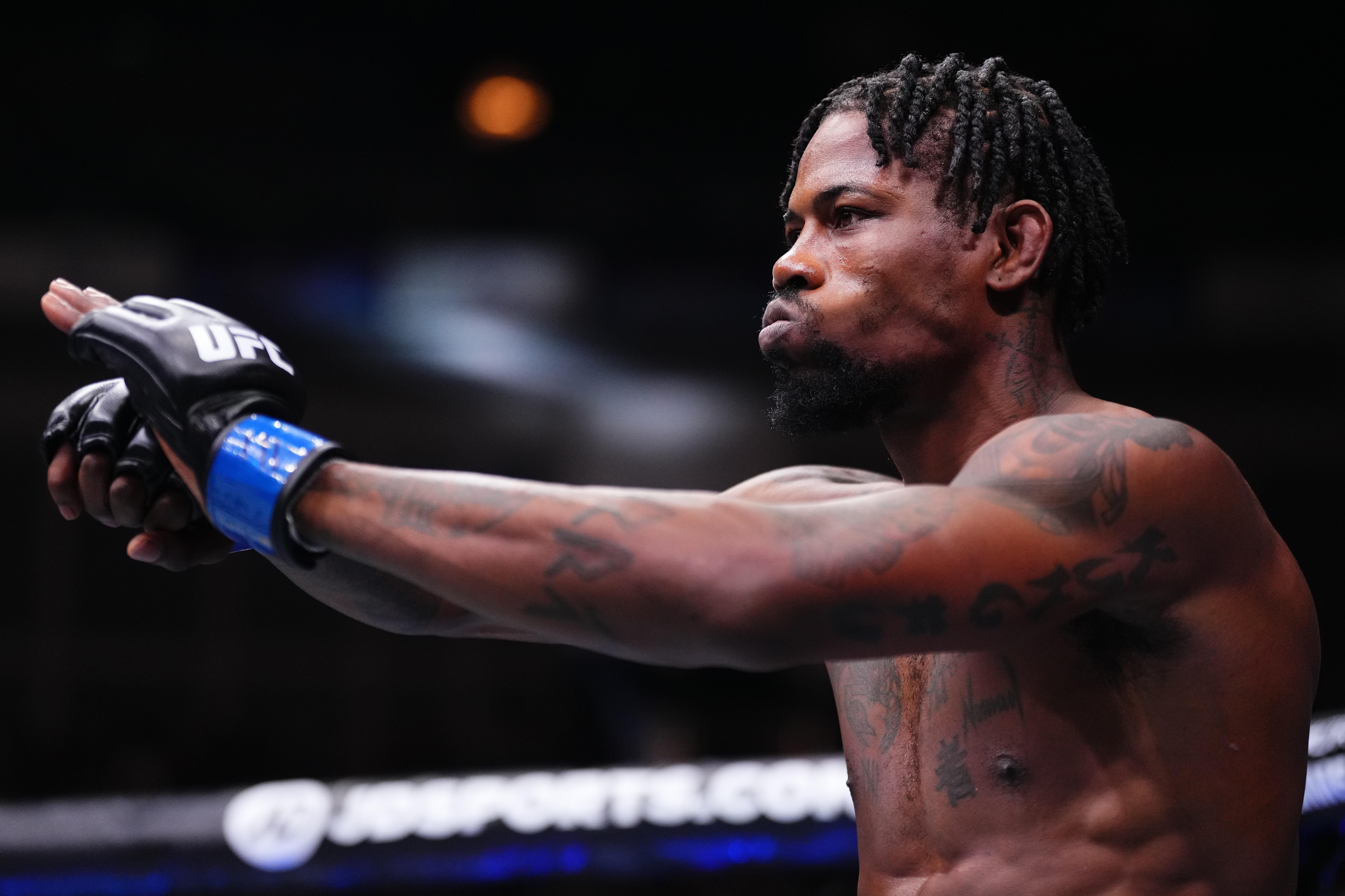 UFC Fight Night: Nelson v Holland