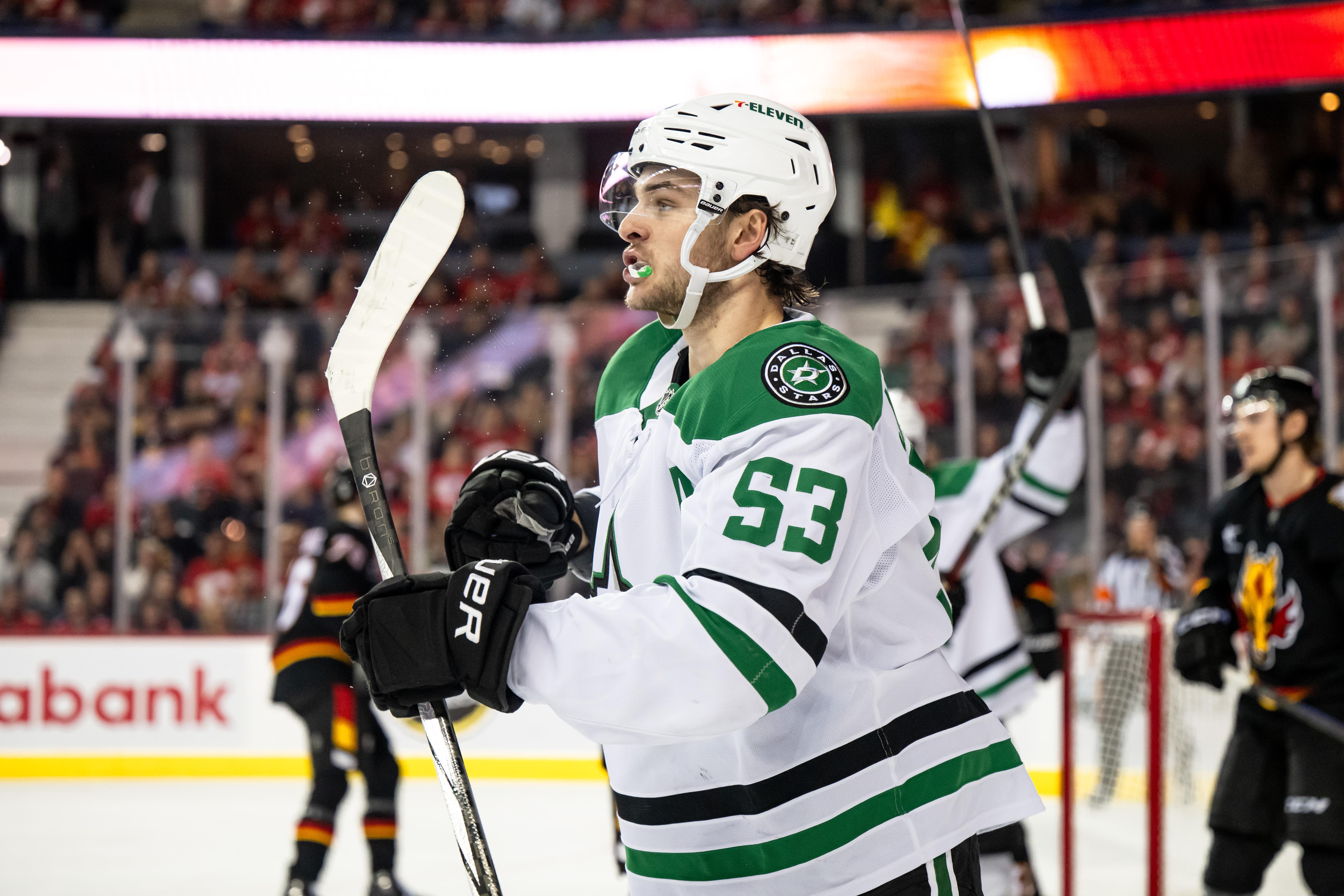 NHL: MAR 27 Stars at Flames