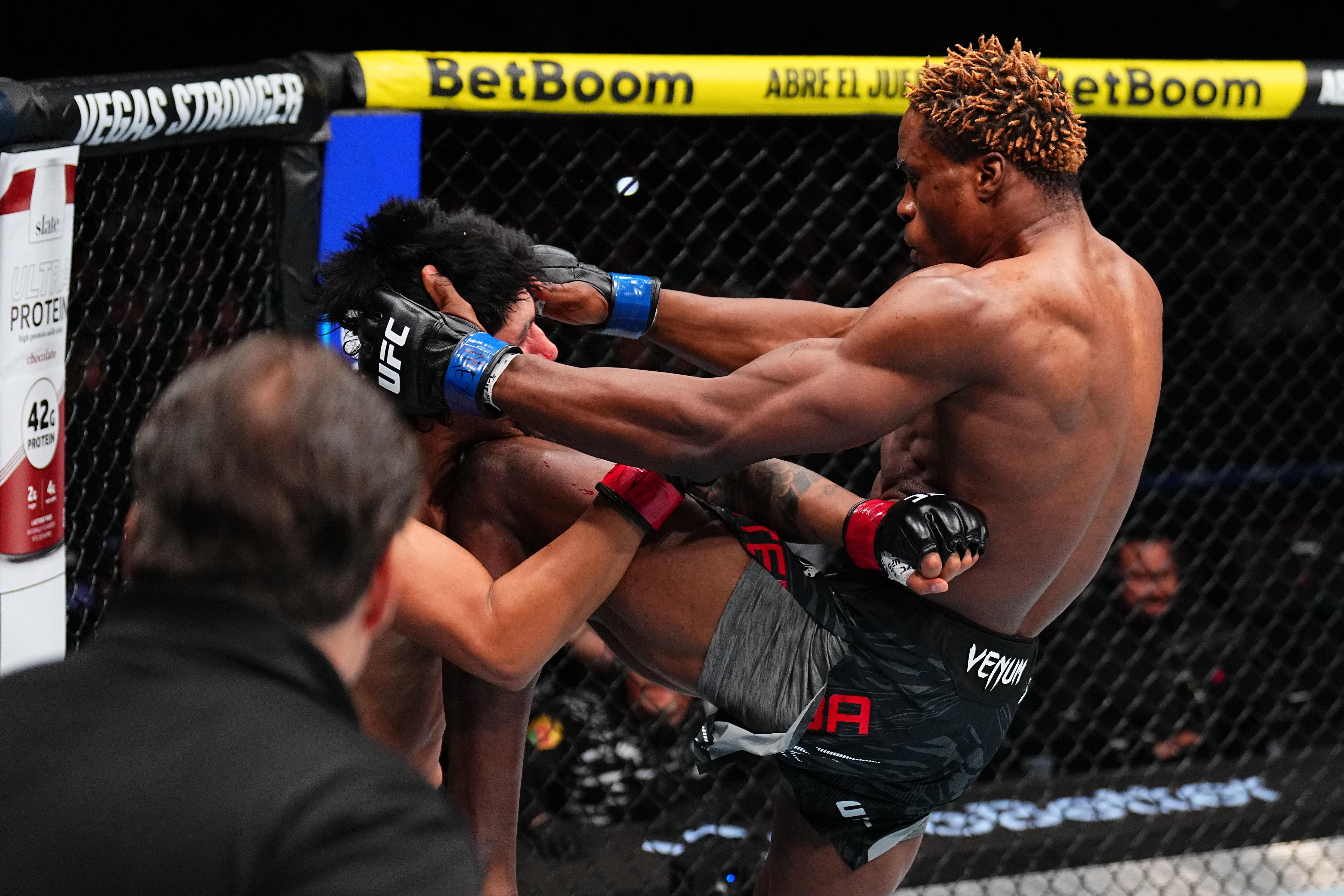 UFC Fight Night: Medina v Gautier