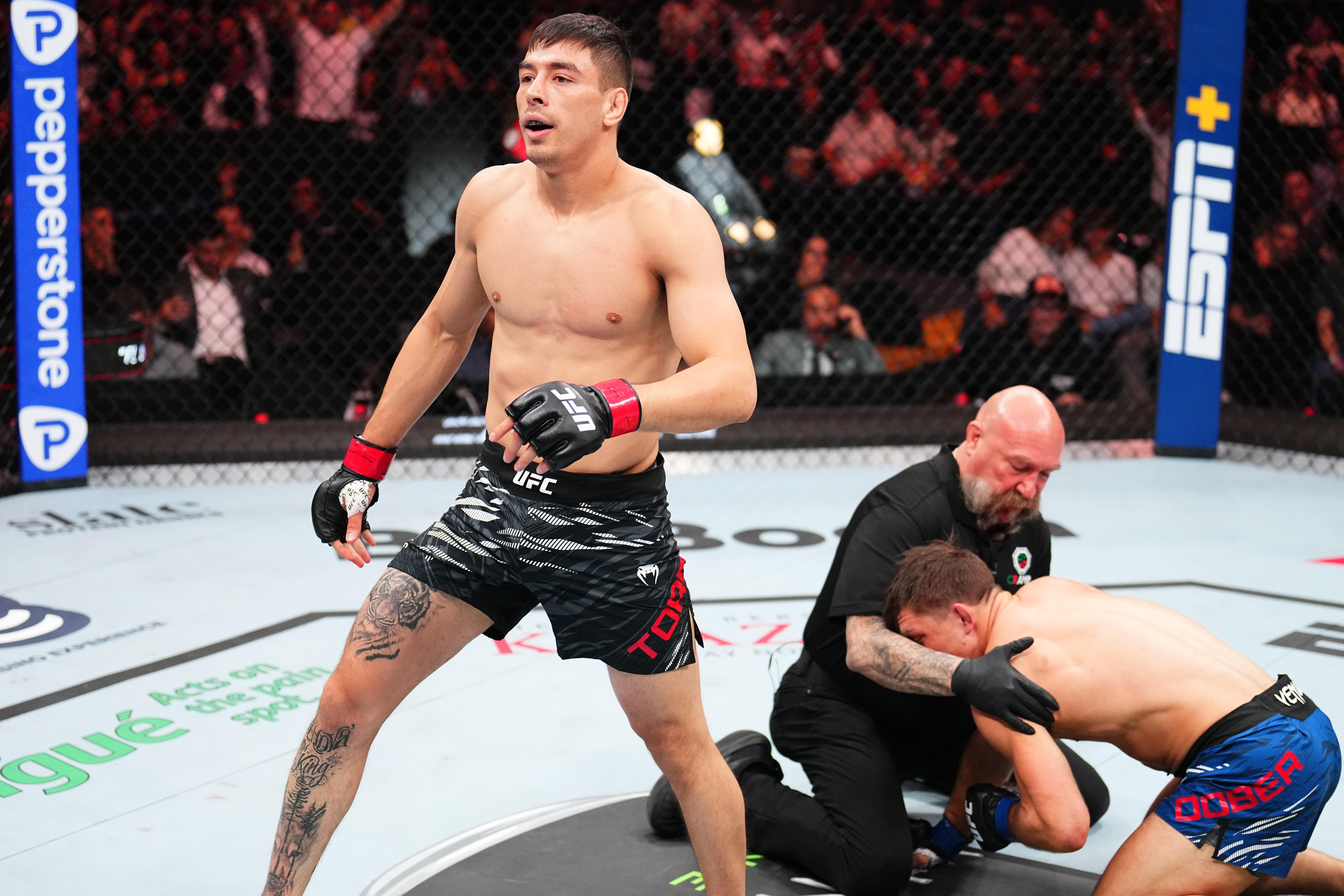 UFC Fight Night: Torres v Dober