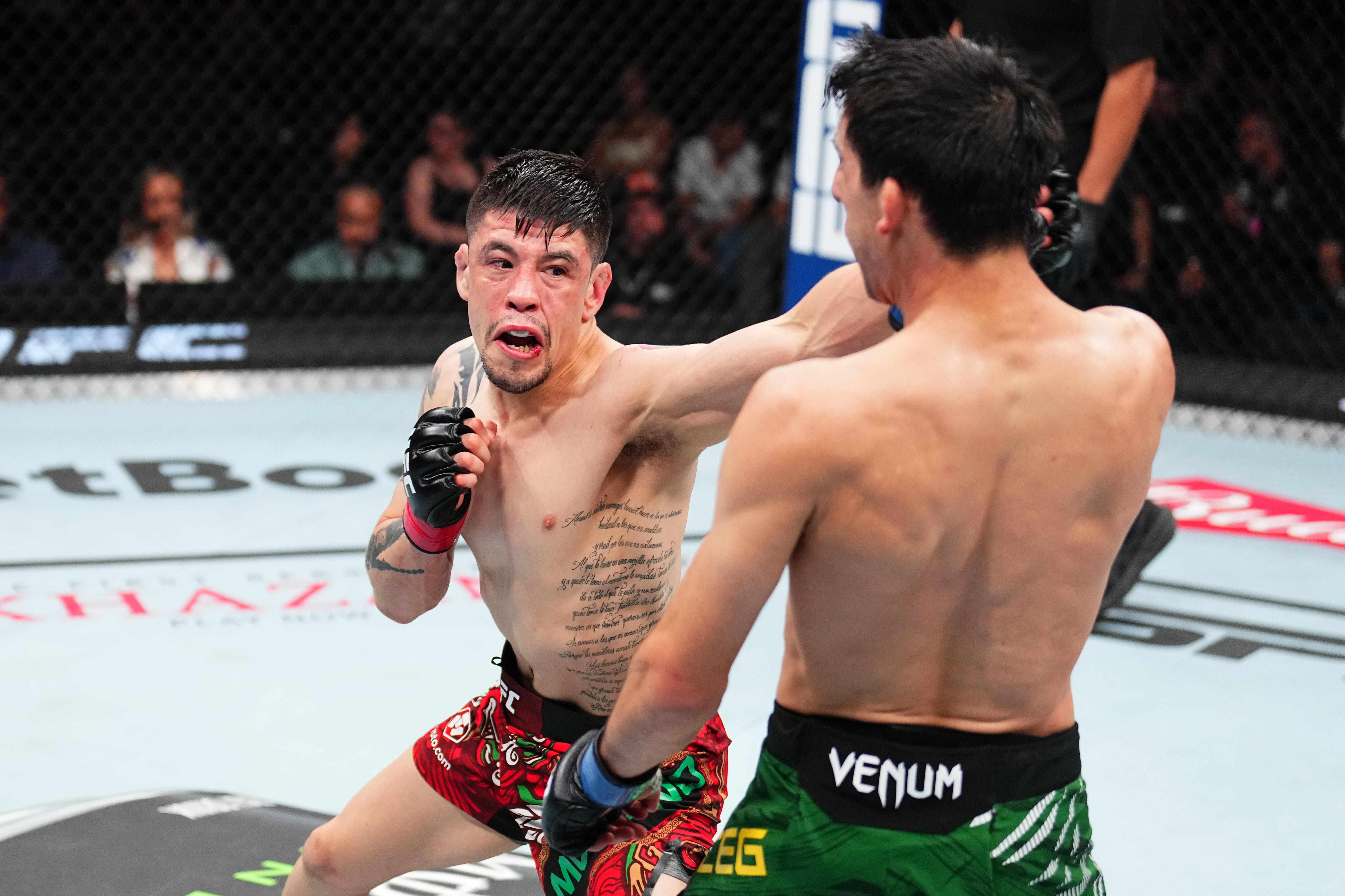 UFC Fight Night: Moreno v Erceg
