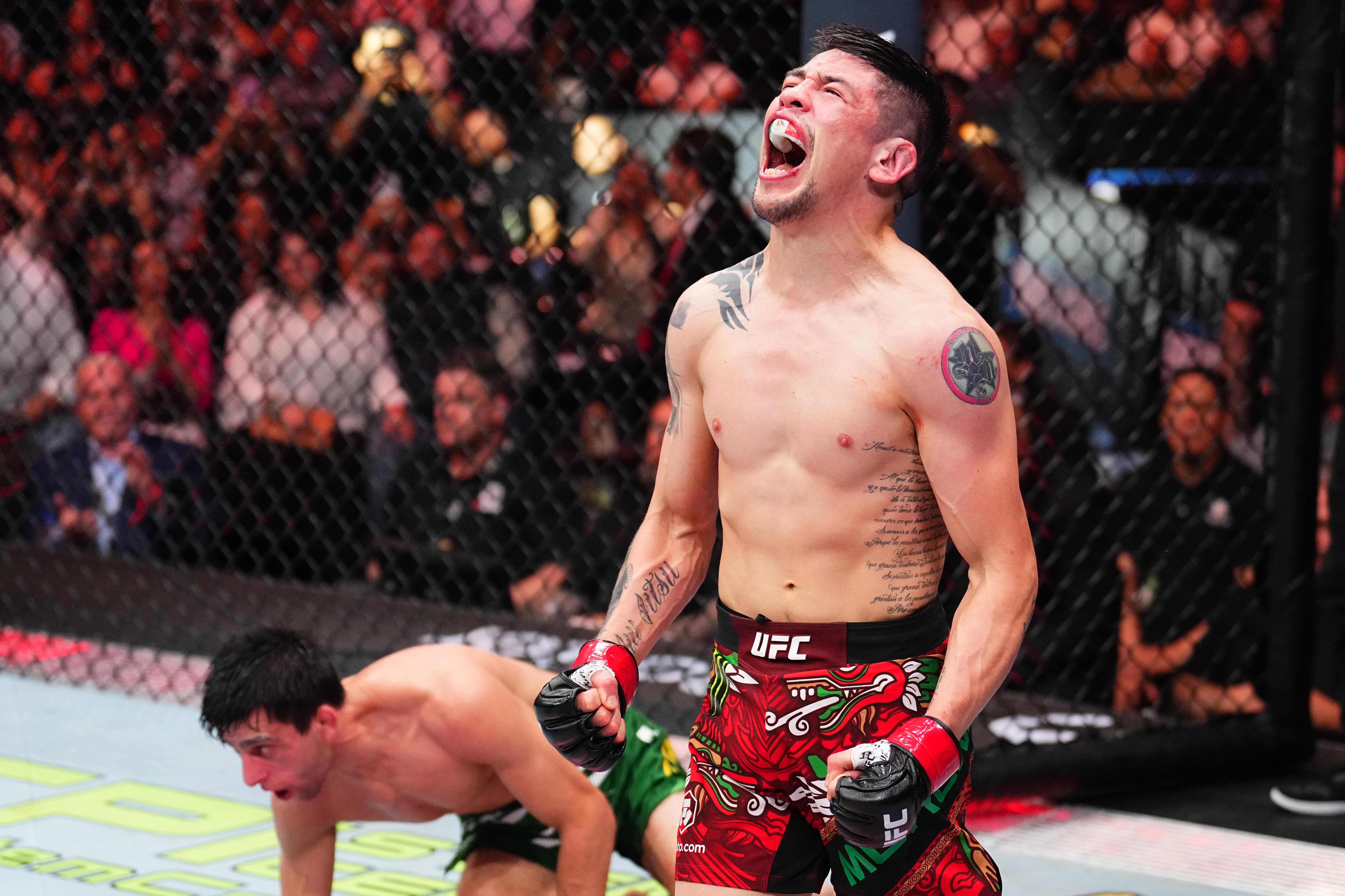 UFC Fight Night: Moreno v Erceg
