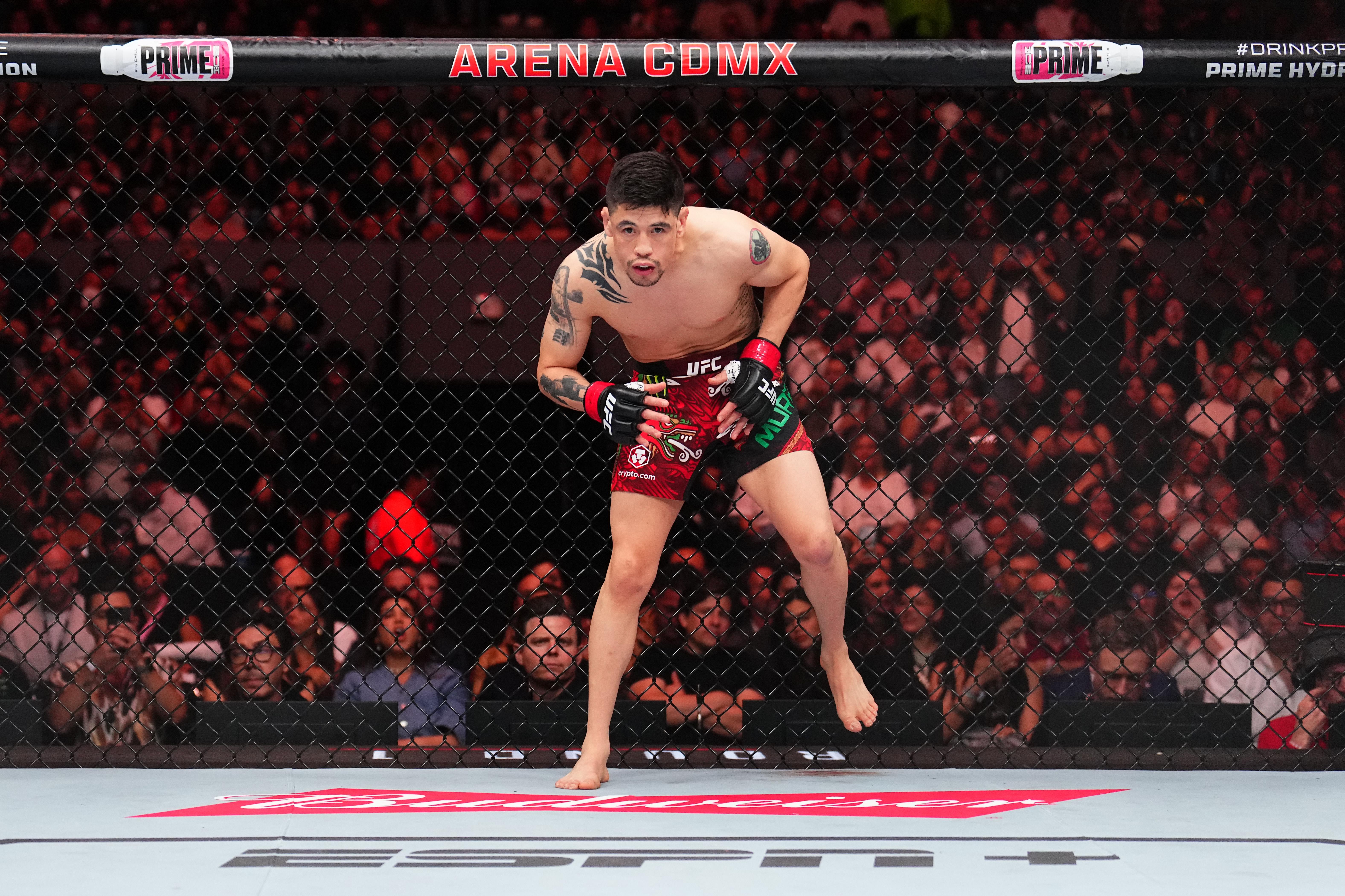 UFC Fight Night: Moreno v Erceg