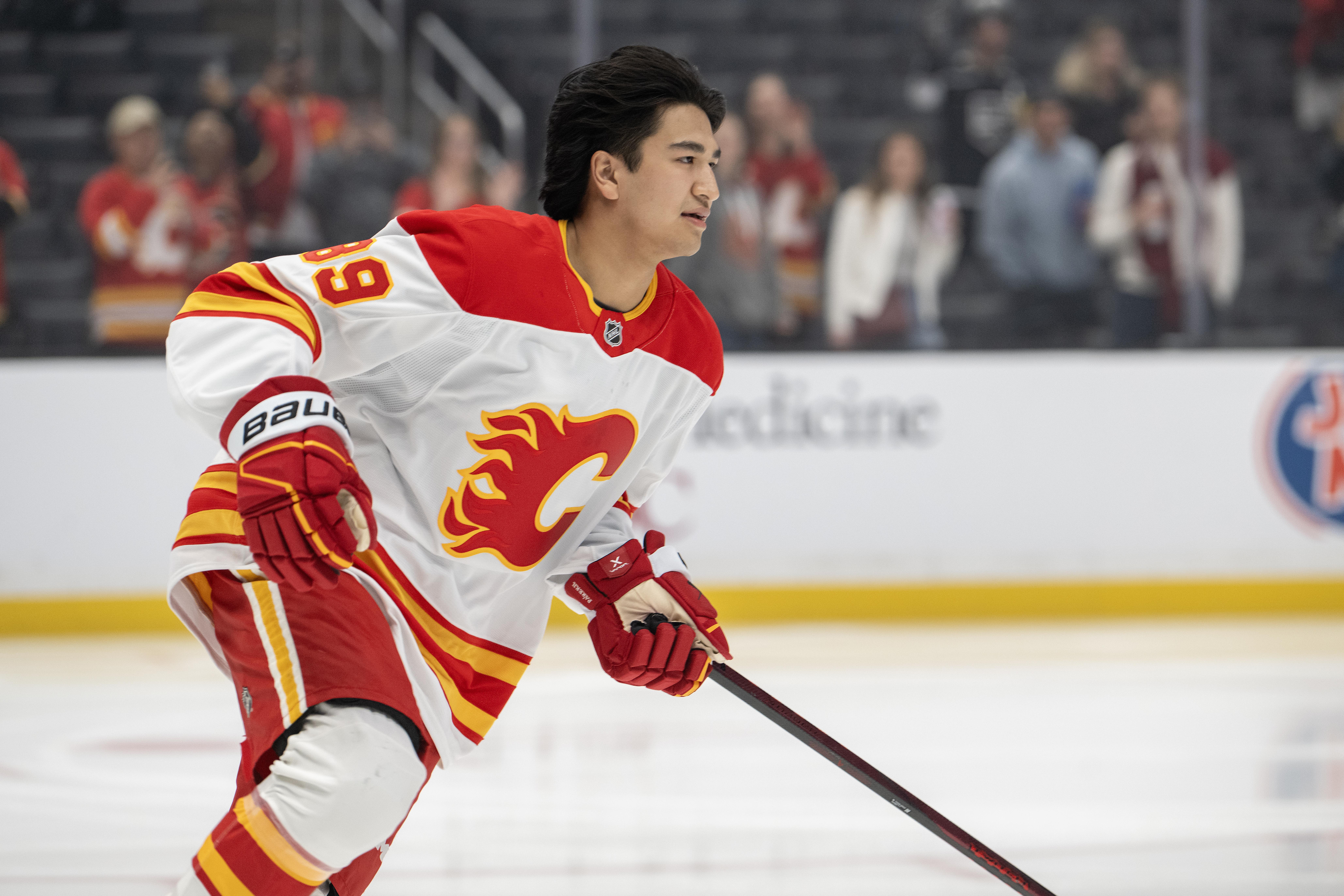 NHL: APR 17 Flames at Kings